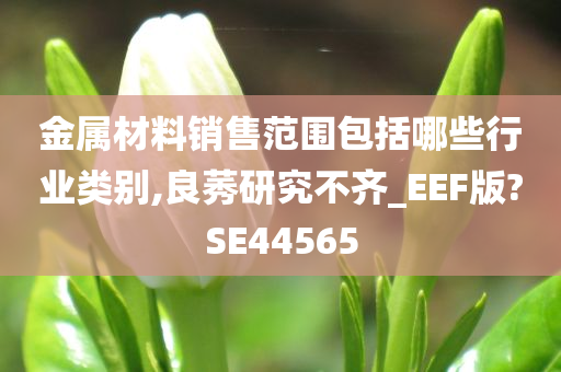 金属材料销售范围包括哪些行业类别,良莠研究不齐_EEF版?SE44565