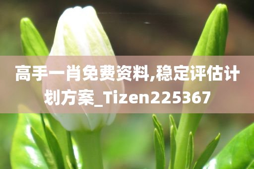 高手一肖免费资料,稳定评估计划方案_Tizen225367