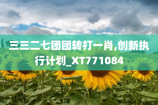 三三二七团团转打一肖,创新执行计划_XT771084