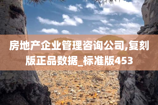 房地产企业管理咨询公司,复刻版正品数据_标准版453