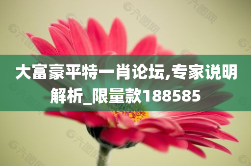 大富豪平特一肖论坛,专家说明解析_限量款188585