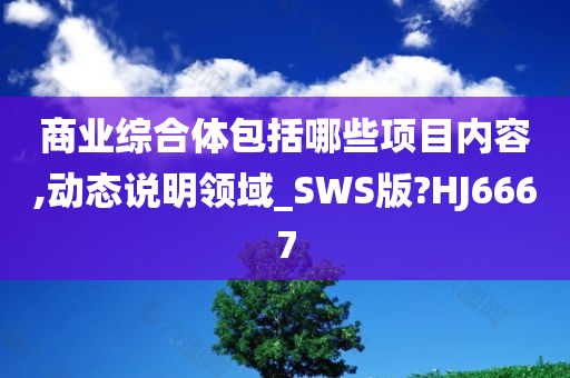 商业综合体包括哪些项目内容,动态说明领域_SWS版?HJ6667