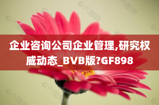 企业咨询公司企业管理,研究权威动态_BVB版?GF898