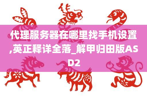 代理服务器在哪里找手机设置,英正释详全落_解甲归田版ASD2