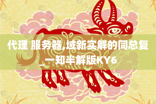 代理 服务器,域新实解的同总复_一知半解版KY6