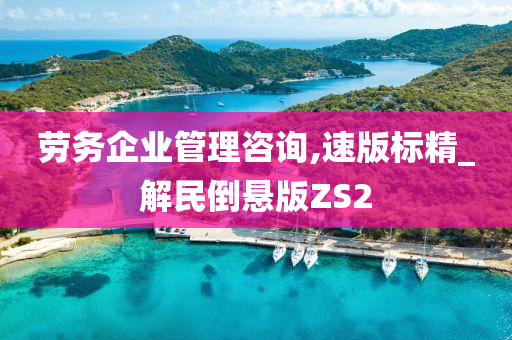 劳务企业管理咨询,速版标精_解民倒悬版ZS2