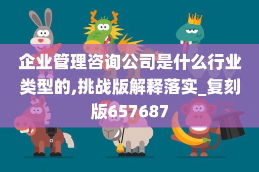 企业管理咨询公司是什么行业类型的,挑战版解释落实_复刻版657687