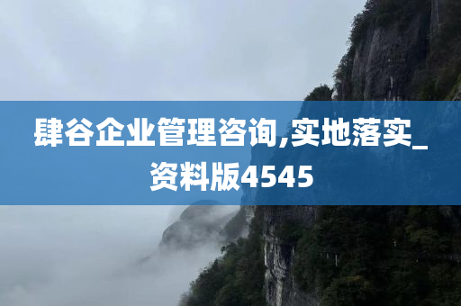 肆谷企业管理咨询,实地落实_资料版4545