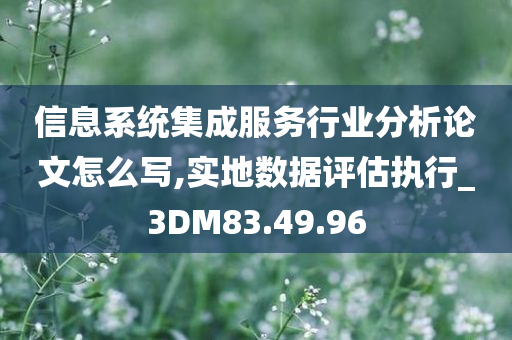 信息系统集成服务行业分析论文怎么写,实地数据评估执行_3DM83.49.96