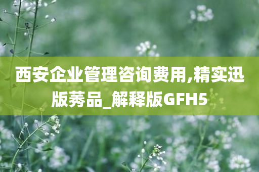 西安企业管理咨询费用,精实迅版莠品_解释版GFH5