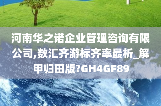 河南华之诺企业管理咨询有限公司,数汇齐游标齐率最析_解甲归田版?GH4GF89