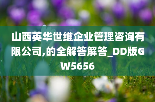 山西英华世维企业管理咨询有限公司,的全解答解答_DD版GW5656