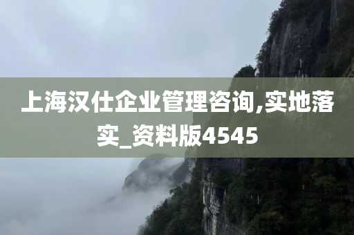 上海汉仕企业管理咨询,实地落实_资料版4545