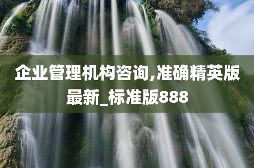 企业管理机构咨询,准确精英版最新_标准版888