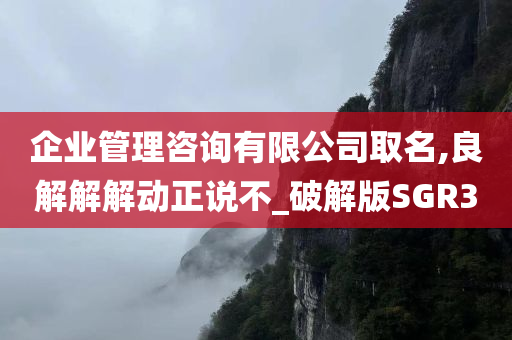 企业管理咨询有限公司取名,良解解解动正说不_破解版SGR3