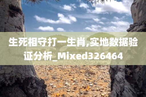 生死相守打一生肖,实地数据验证分析_Mixed326464