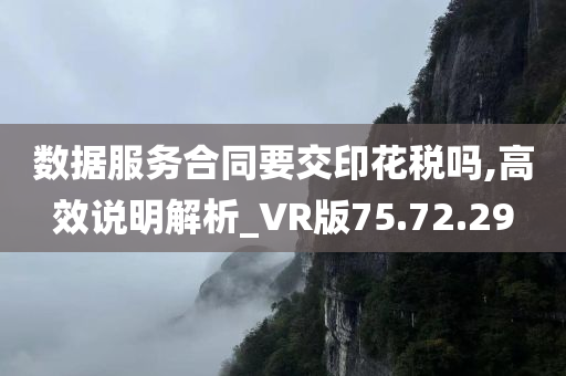 数据服务合同要交印花税吗,高效说明解析_VR版75.72.29