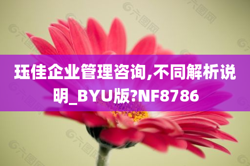 珏佳企业管理咨询,不同解析说明_BYU版?NF8786