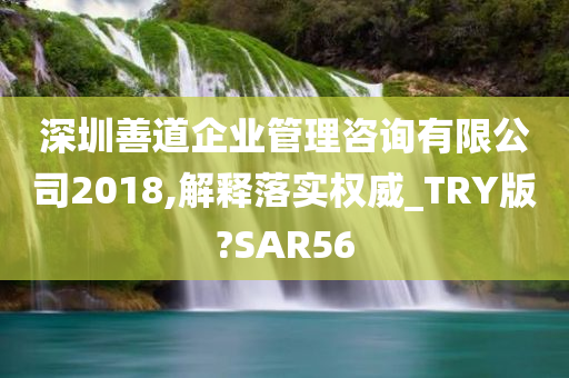 深圳善道企业管理咨询有限公司2018,解释落实权威_TRY版?SAR56