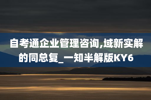 自考通企业管理咨询,域新实解的同总复_一知半解版KY6