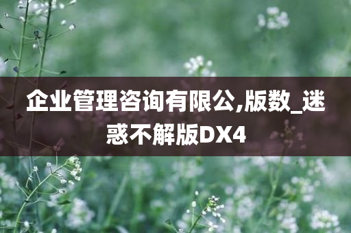 企业管理咨询有限公,版数_迷惑不解版DX4