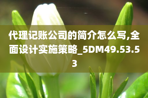 代理记账公司的简介怎么写,全面设计实施策略_5DM49.53.53