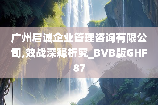 广州启诚企业管理咨询有限公司,效战深释析究_BVB版GHF87