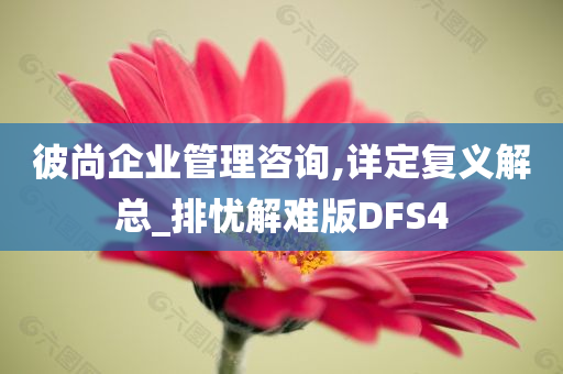 彼尚企业管理咨询,详定复义解总_排忧解难版DFS4