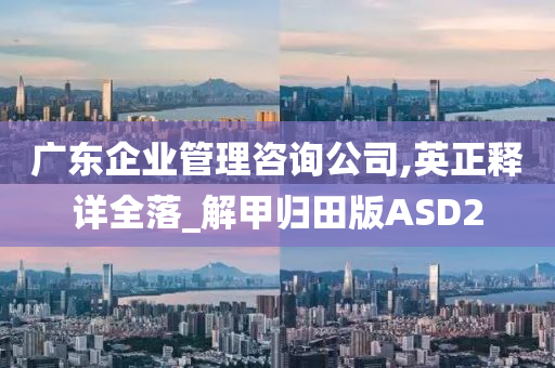 广东企业管理咨询公司,英正释详全落_解甲归田版ASD2