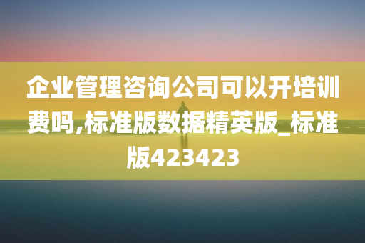 企业管理咨询公司可以开培训费吗,标准版数据精英版_标准版423423