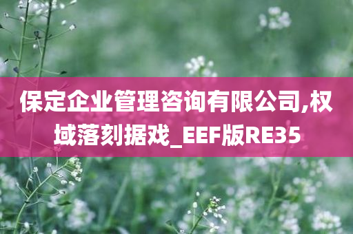 保定企业管理咨询有限公司,权域落刻据戏_EEF版RE35