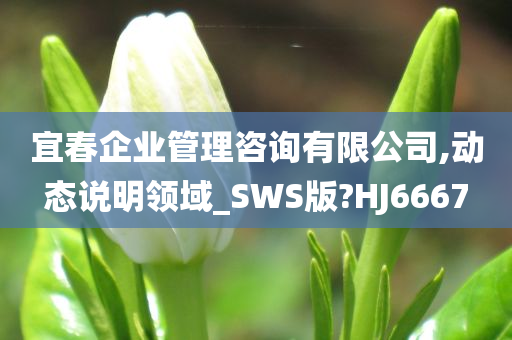 宜春企业管理咨询有限公司,动态说明领域_SWS版?HJ6667