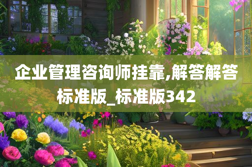 企业管理咨询师挂靠,解答解答标准版_标准版342