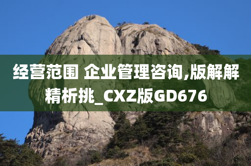 经营范围 企业管理咨询,版解解精析挑_CXZ版GD676