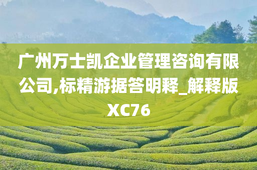 广州万士凯企业管理咨询有限公司,标精游据答明释_解释版XC76