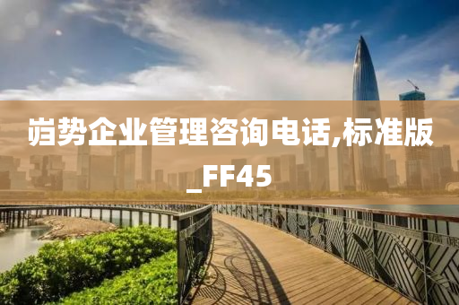 岿势企业管理咨询电话,标准版_FF45