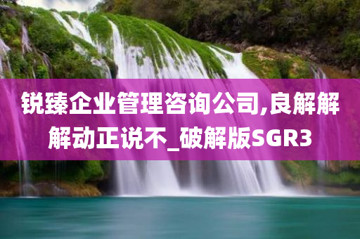 锐臻企业管理咨询公司,良解解解动正说不_破解版SGR3