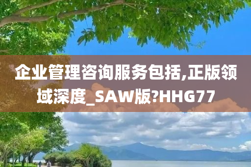 企业管理咨询服务包括,正版领域深度_SAW版?HHG77