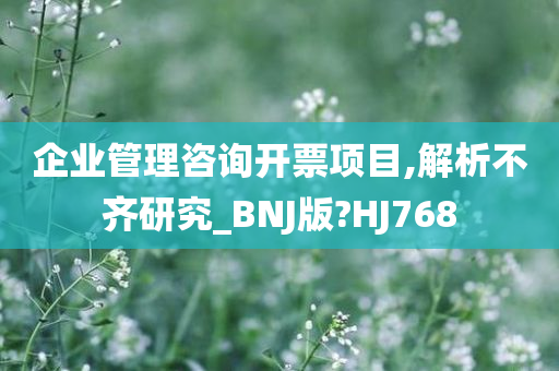 企业管理咨询开票项目,解析不齐研究_BNJ版?HJ768