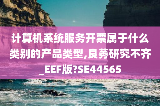 计算机系统服务开票属于什么类别的产品类型,良莠研究不齐_EEF版?SE44565