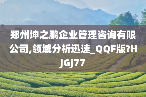 郑州坤之鹏企业管理咨询有限公司,领域分析迅速_QQF版?HJGJ77