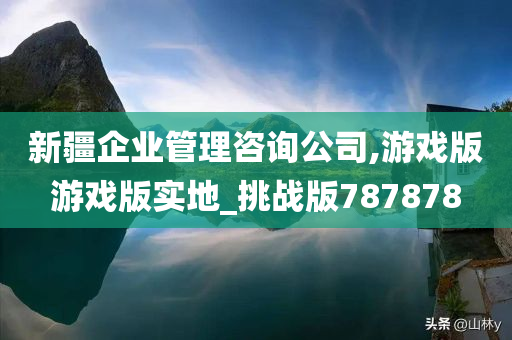 新疆企业管理咨询公司,游戏版游戏版实地_挑战版787878