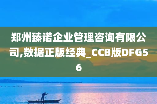 郑州臻诺企业管理咨询有限公司,数据正版经典_CCB版DFG56