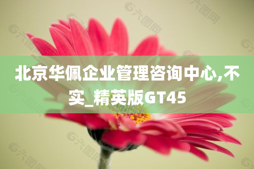 北京华佩企业管理咨询中心,不实_精英版GT45