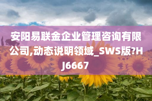 安阳易联金企业管理咨询有限公司,动态说明领域_SWS版?HJ6667