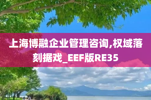 上海博融企业管理咨询,权域落刻据戏_EEF版RE35