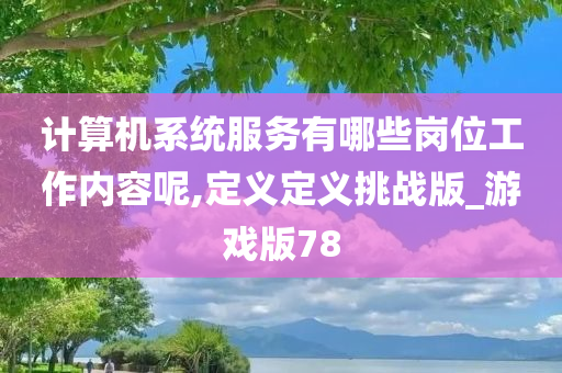 计算机系统服务有哪些岗位工作内容呢,定义定义挑战版_游戏版78