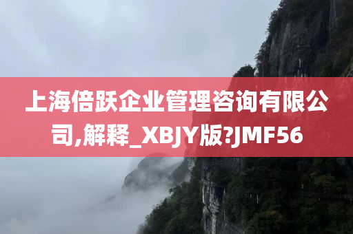 上海倍跃企业管理咨询有限公司,解释_XBJY版?JMF56