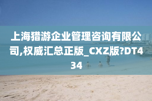 上海猎游企业管理咨询有限公司,权威汇总正版_CXZ版?DT434