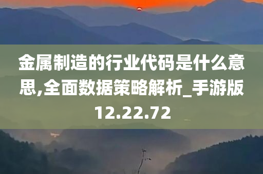 金属制造的行业代码是什么意思,全面数据策略解析_手游版12.22.72